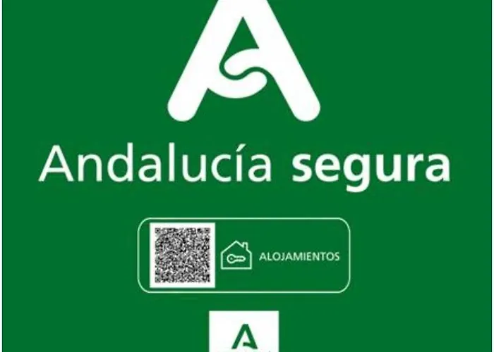 Todosierranevada Zona Baja - De 4 - Junto A Telecabinas Σιέρρα Νεβάδα