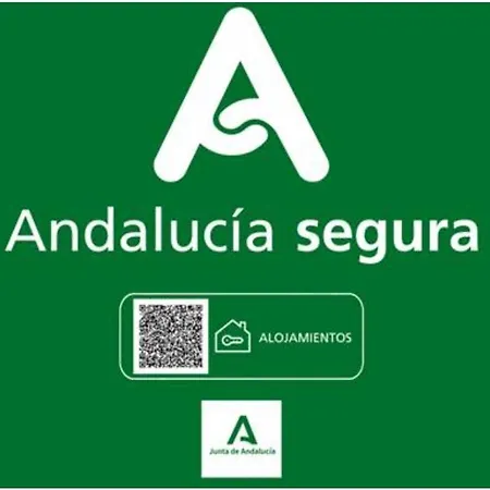 Todosierranevada Zona Baja - De 4 - Junto A Telecabinas Sierra Nevada